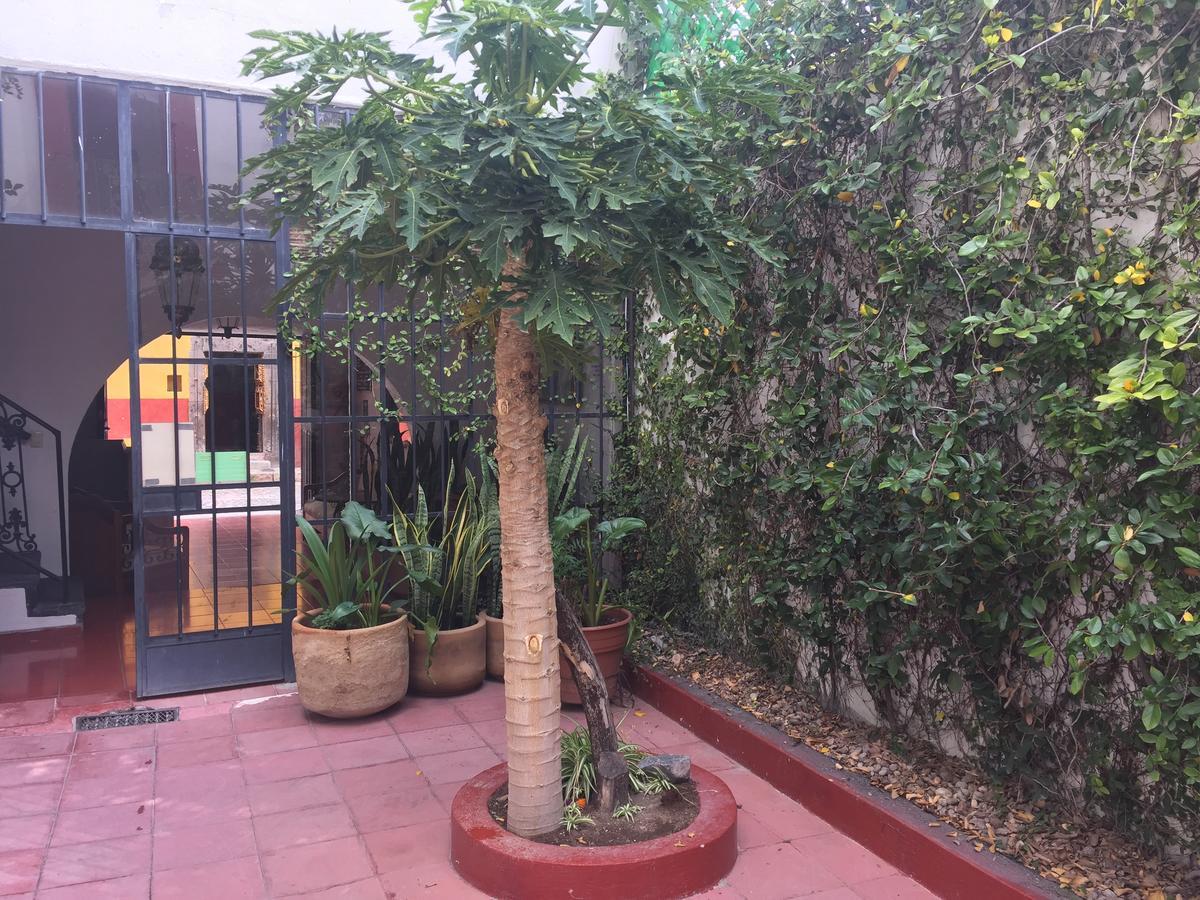 Alcatraz Hostal San Miguel de Allende Ngoại thất bức ảnh